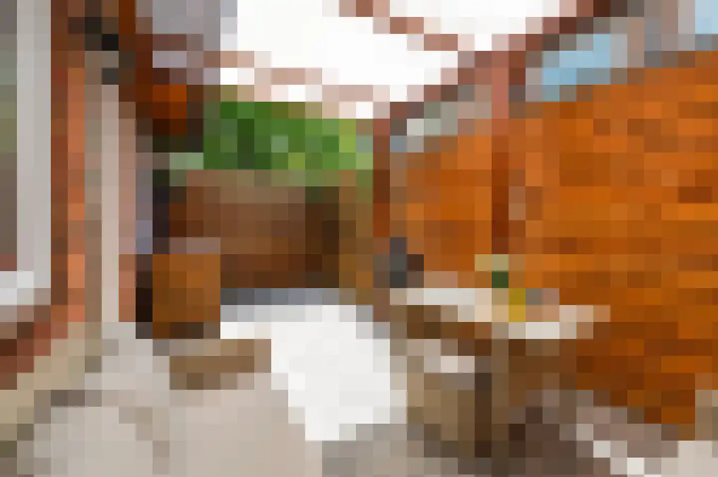 Koopmans van Boekerenstraat 25 Den Haag thumbnail 5