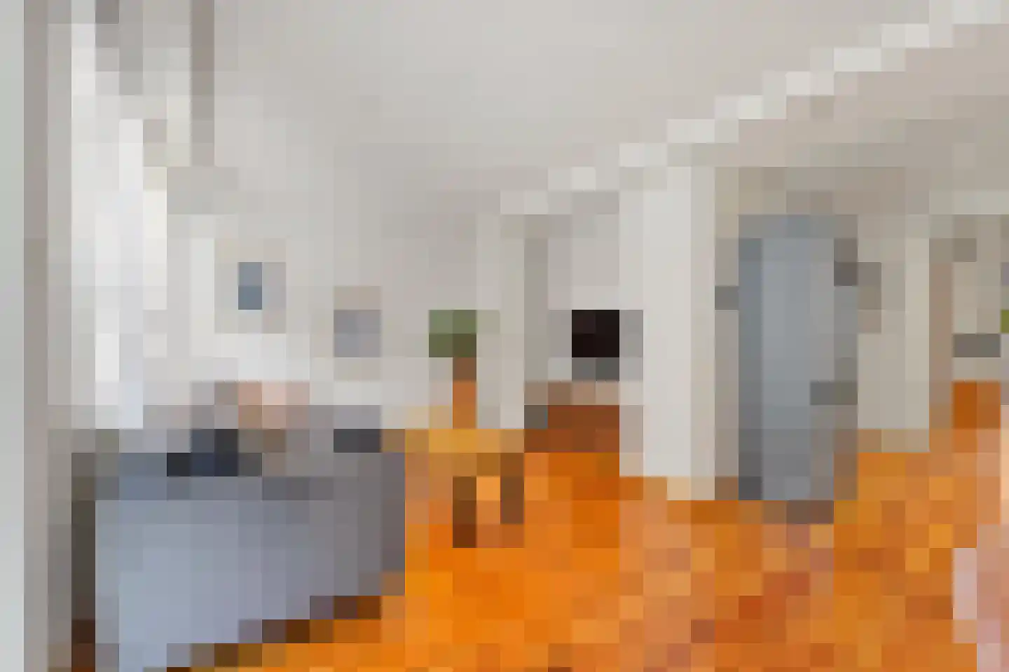 Koopmans van Boekerenstraat 25 Den Haag thumbnail 9