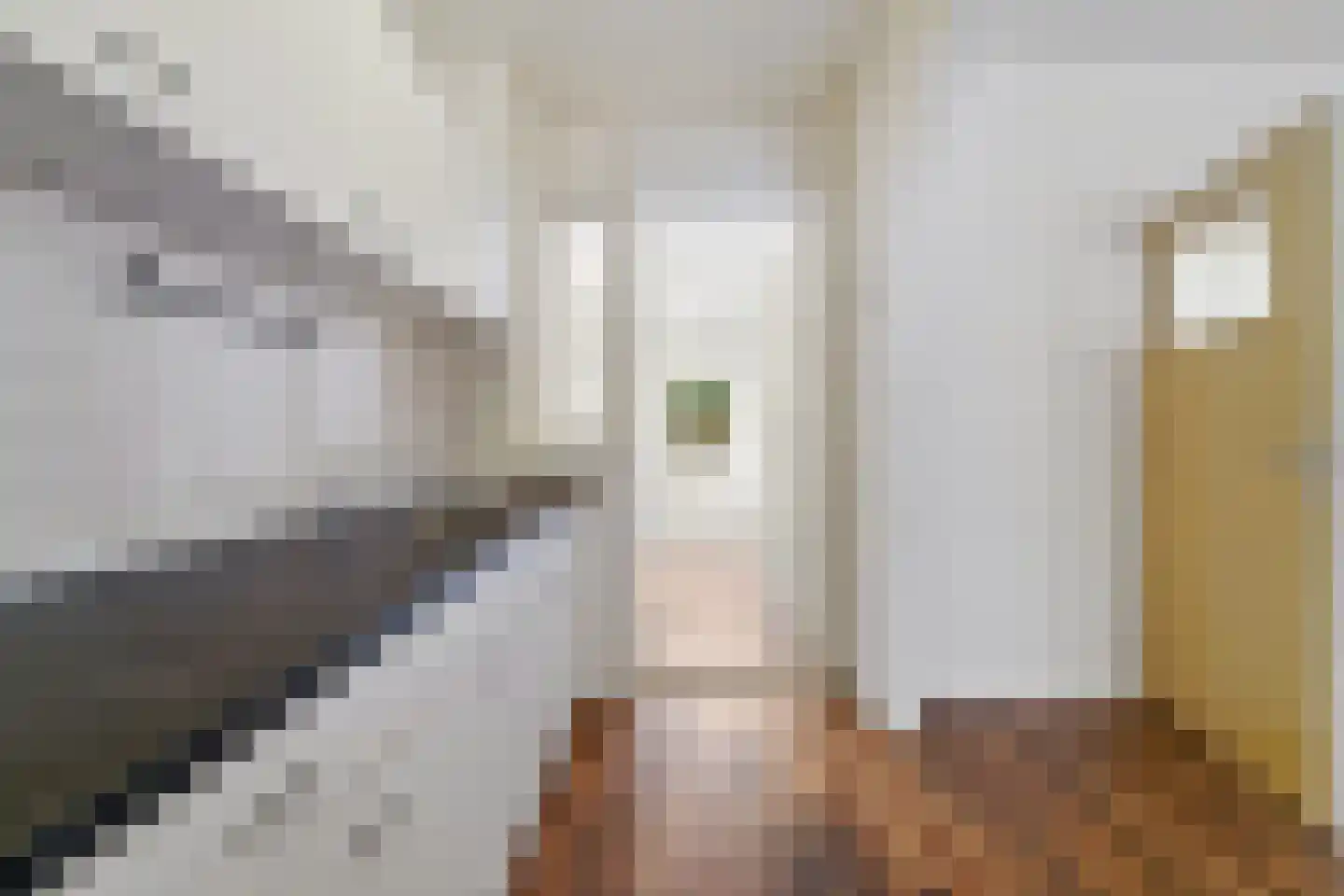 Koopmans van Boekerenstraat 49 Den Haag thumbnail 11