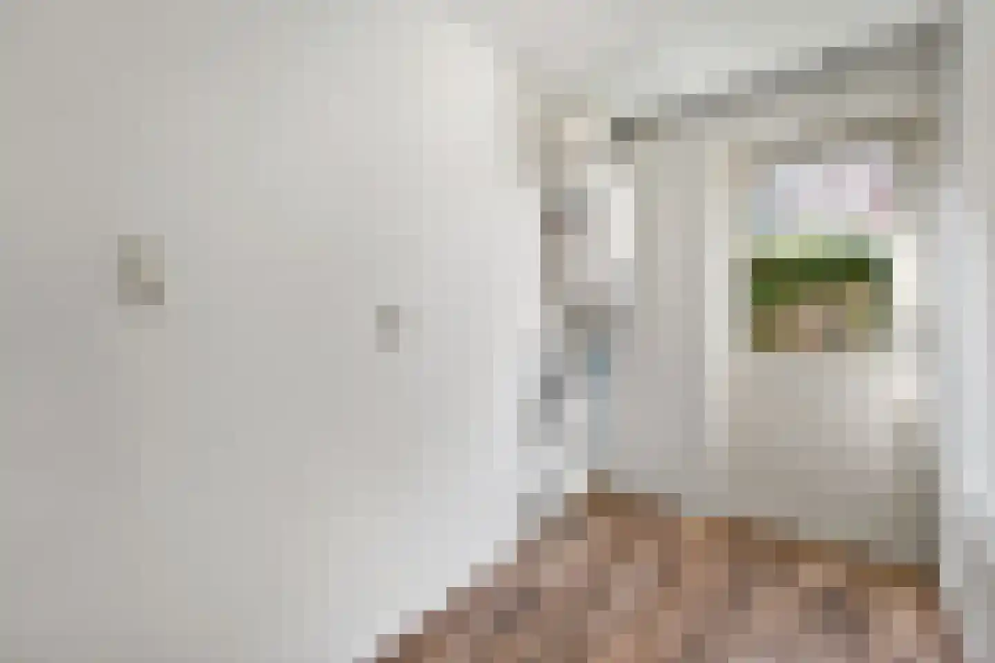 Koopmans van Boekerenstraat 49 Den Haag thumbnail 12