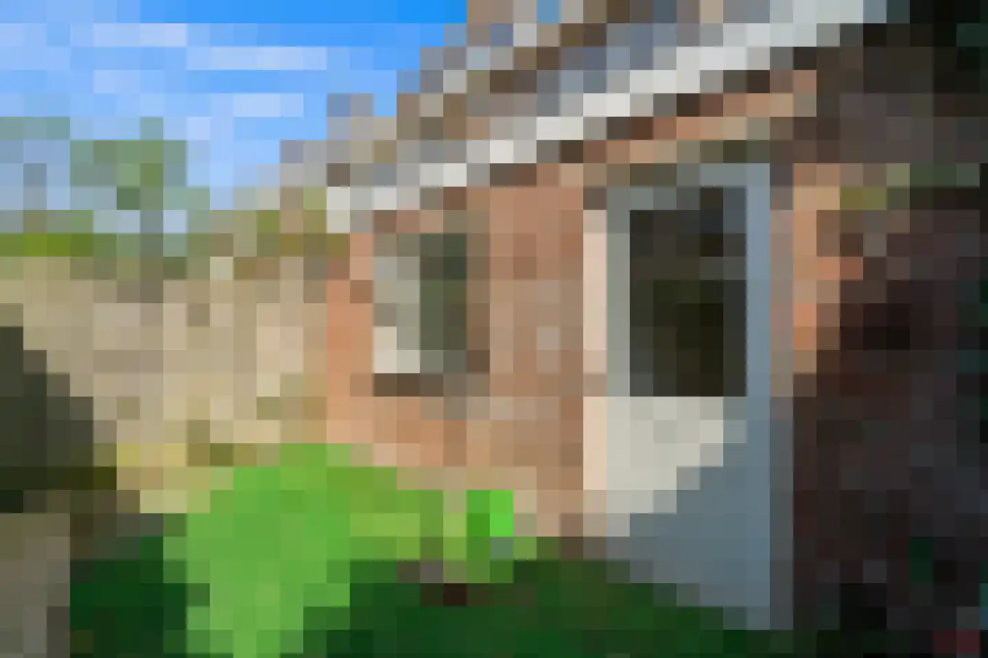 Koopmans van Boekerenstraat 49 Den Haag thumbnail 14