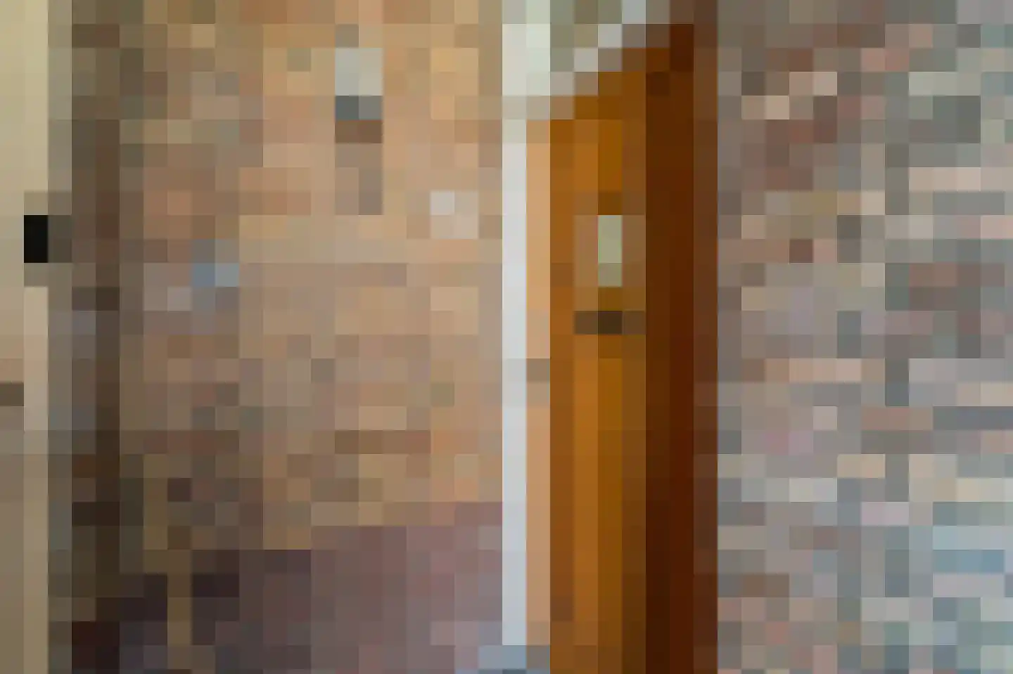 Koopmans van Boekerenstraat 49 Den Haag thumbnail 19