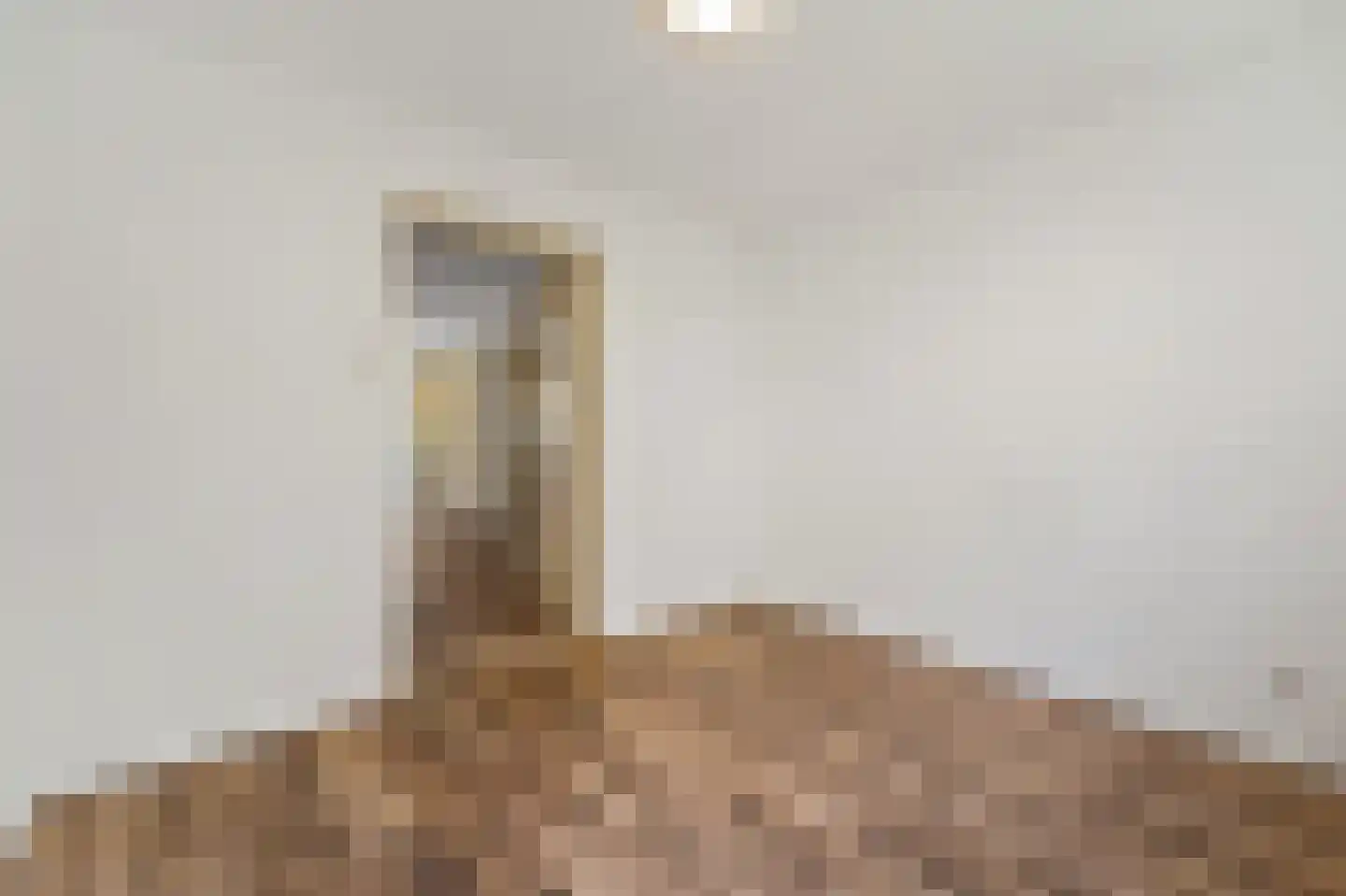 Koopmans van Boekerenstraat 49 Den Haag thumbnail 6