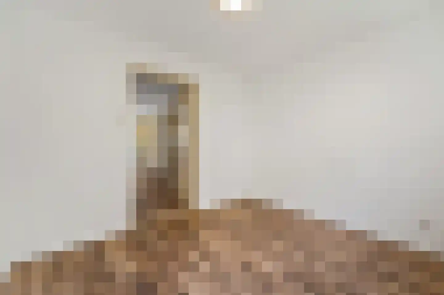 Koopmans van Boekerenstraat 49 Den Haag thumbnail 6