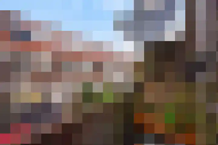 Koopmans van Boekerenstraat 59 Den Haag thumbnail 19