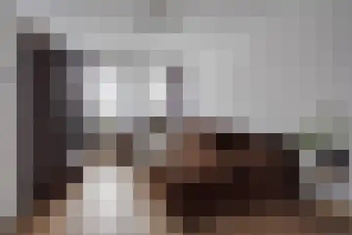 Koopmans van Boekerenstraat 59 Den Haag thumbnail 4