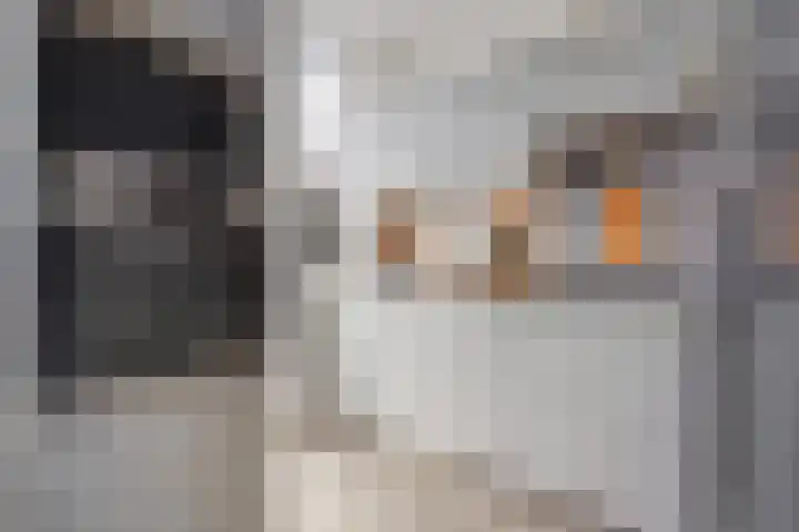 Koopmans van Boekerenstraat 59 Den Haag thumbnail 5