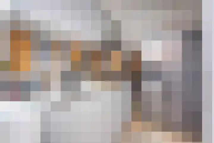Koopmans van Boekerenstraat 59 Den Haag thumbnail 7