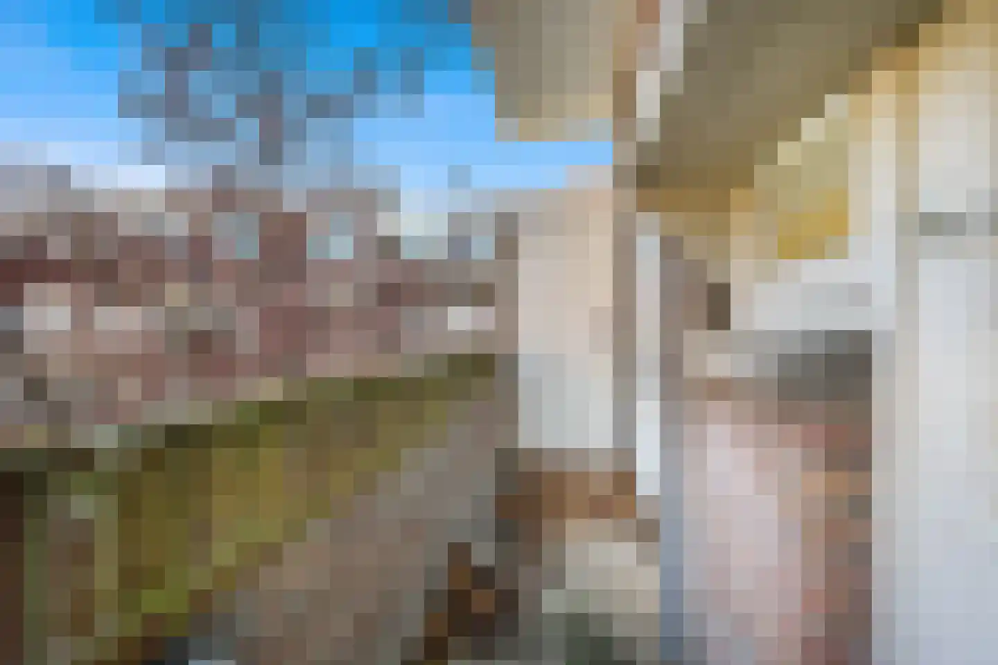Koopmans van Boekerenstraat 64 Den Haag thumbnail 18