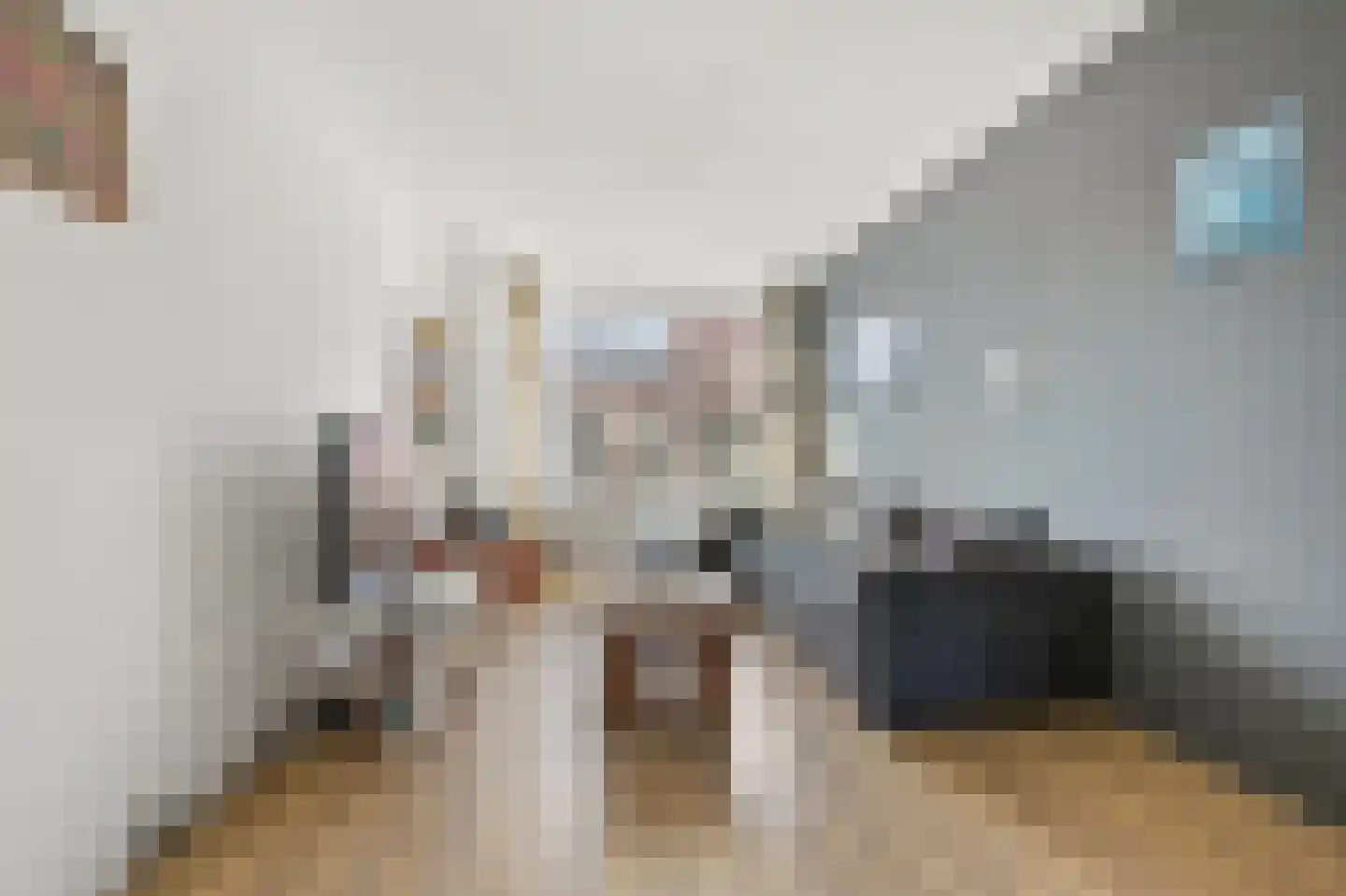 Koopmans van Boekerenstraat 64 Den Haag thumbnail 4