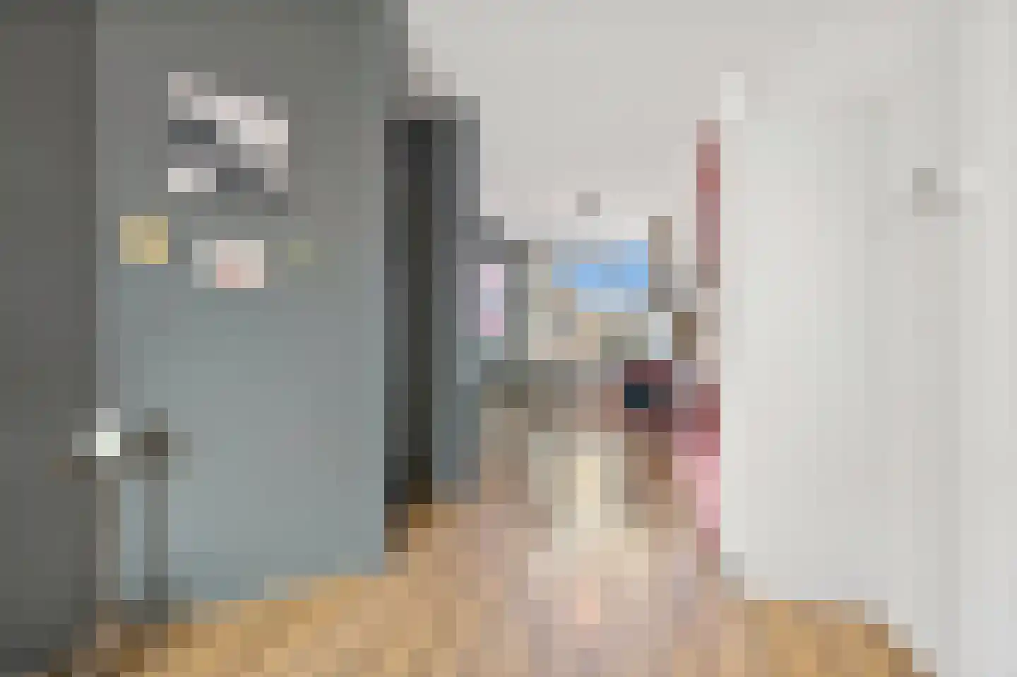 Koopmans van Boekerenstraat 64 Den Haag thumbnail 5