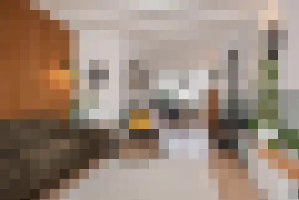 Koopmans van Boekerenstraat 73 Den Haag thumbnail 10