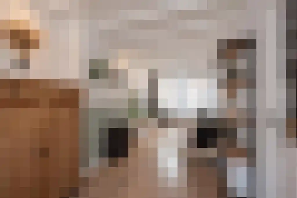 Koopmans van Boekerenstraat 73 Den Haag thumbnail 13