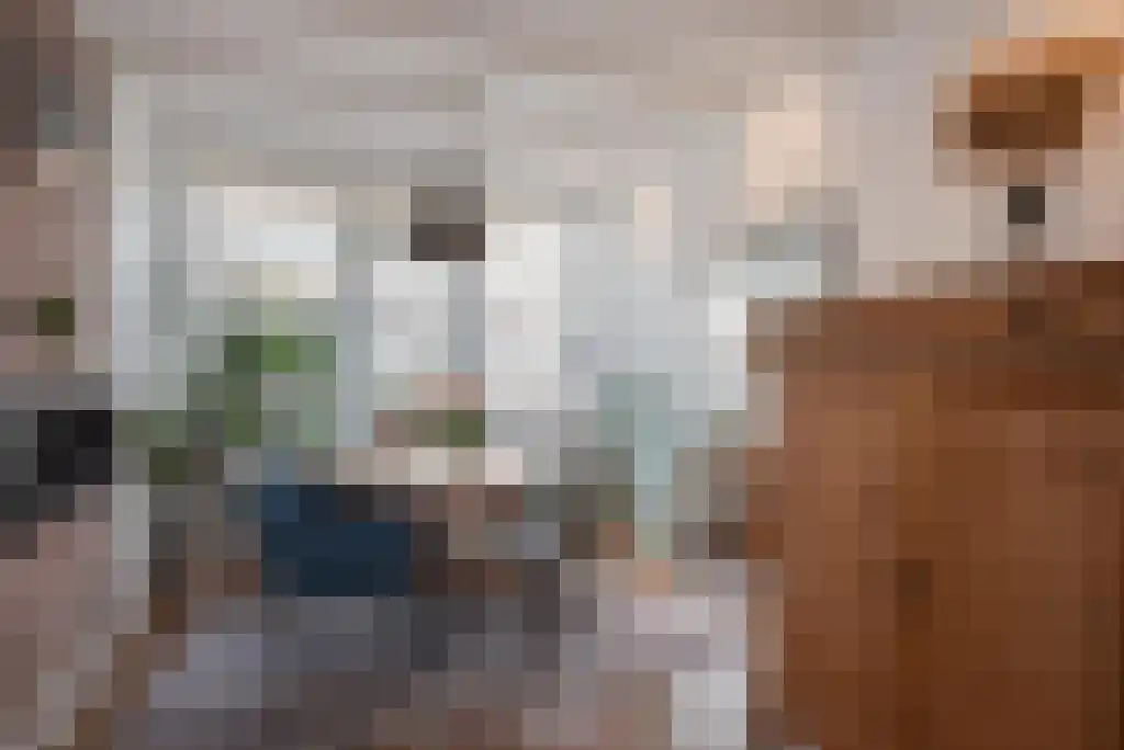 Koopmans van Boekerenstraat 73 Den Haag thumbnail 14