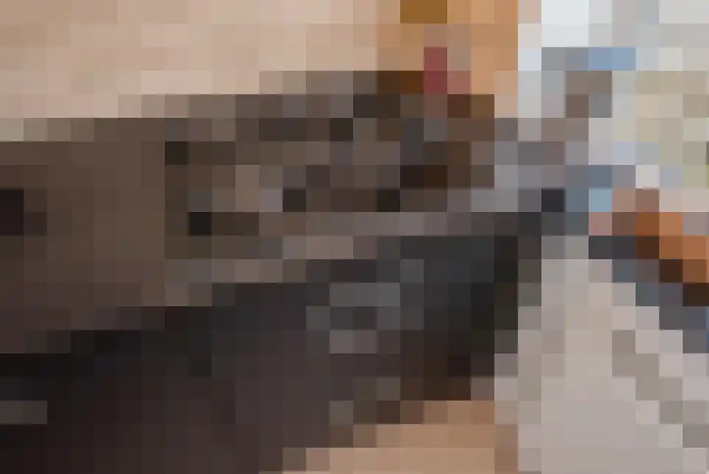Koopmans van Boekerenstraat 73 Den Haag thumbnail 17