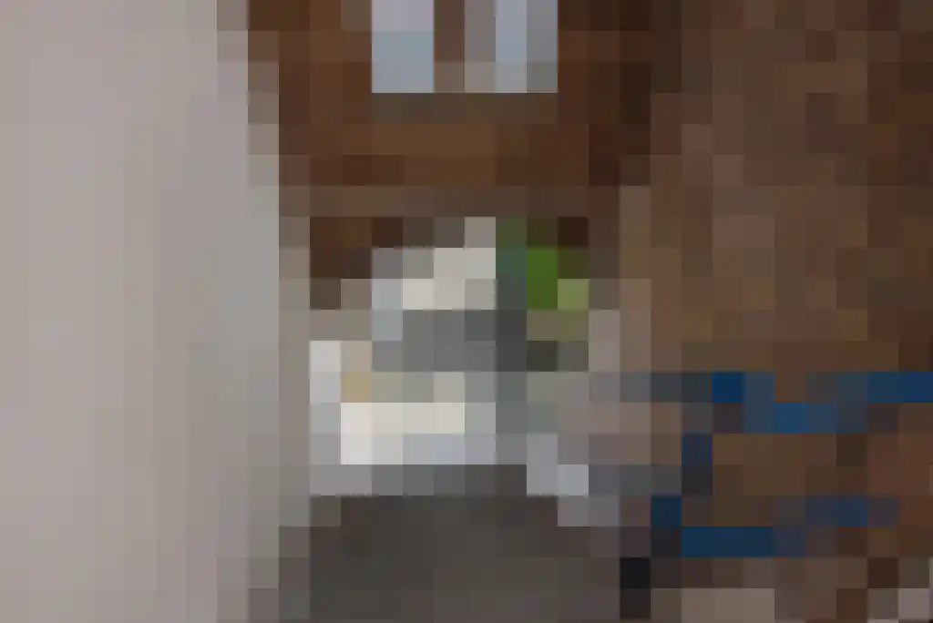 Koopmans van Boekerenstraat 73 Den Haag thumbnail 6