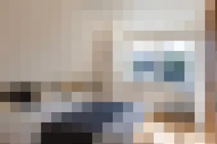 Koopmansgracht 34 Sneek thumbnail 20