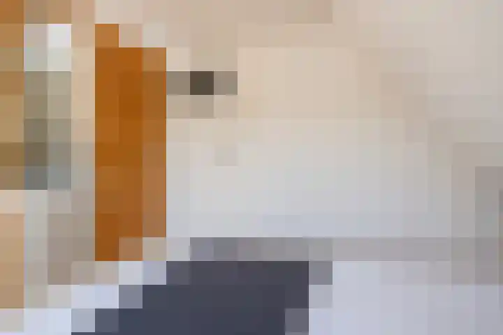 Koopmansgracht 34 Sneek thumbnail 21