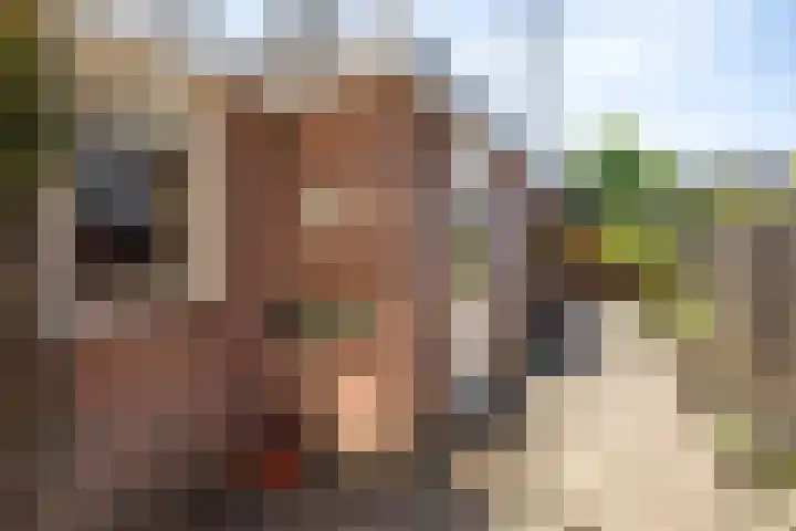 Koopmansgracht 34 Sneek thumbnail 25