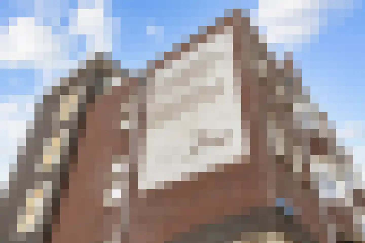 Koopmansplein 58 Ten Boer thumbnail 10