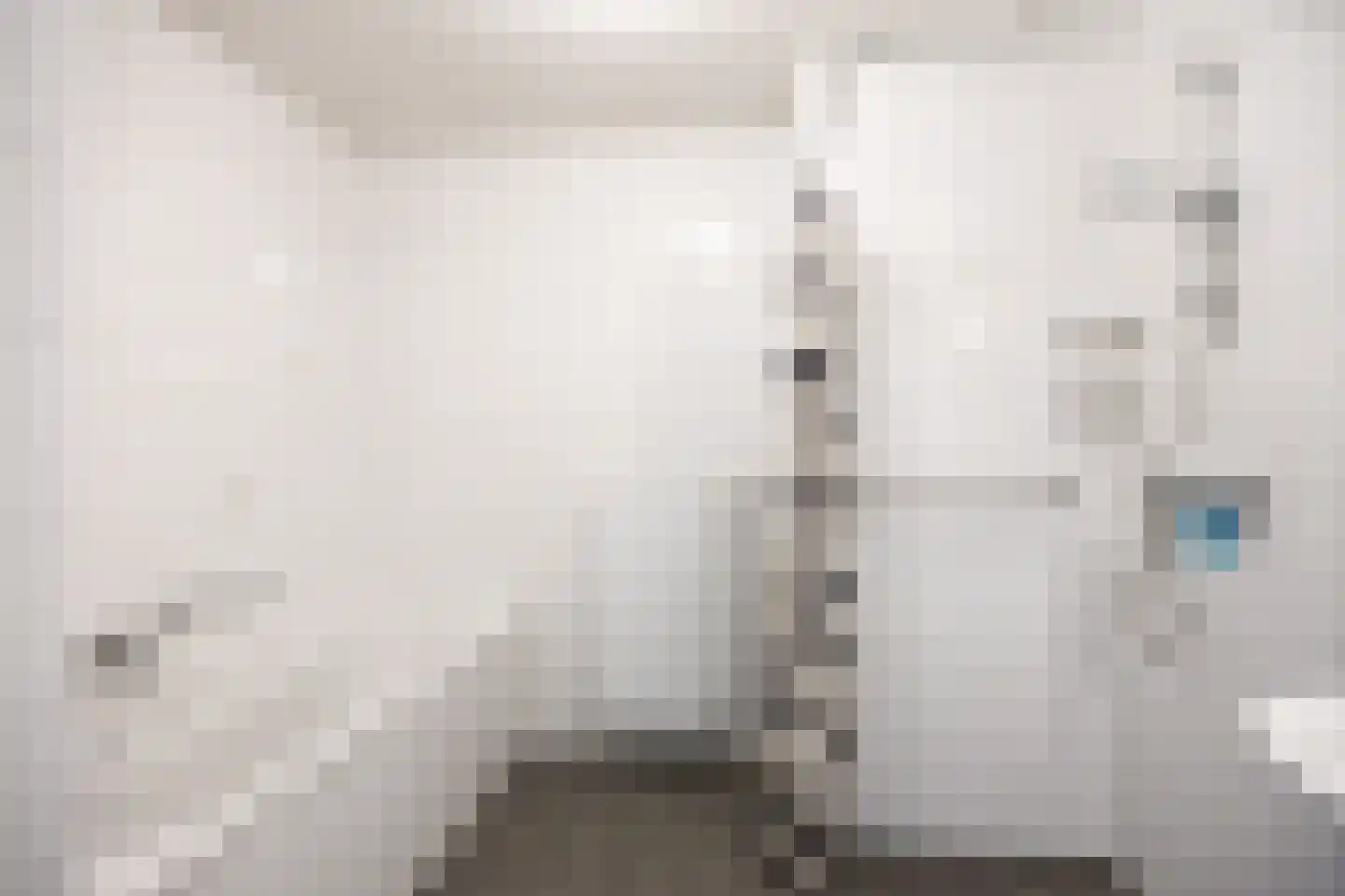 Koopmansplein 58 Ten Boer thumbnail 35
