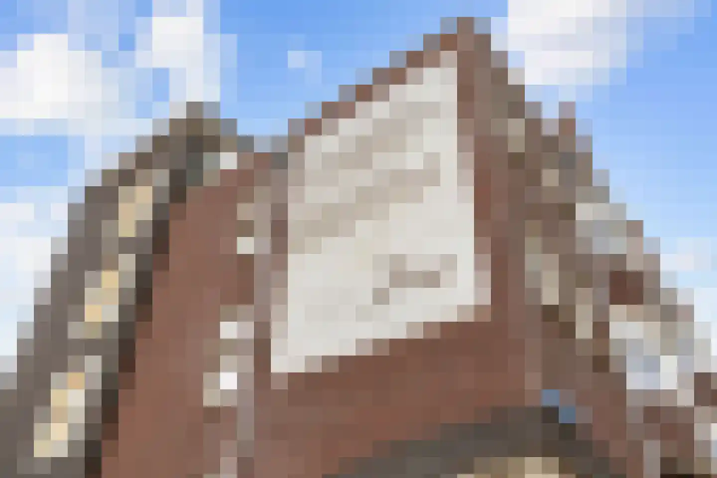 Koopmansplein 58 Ten Boer thumbnail 9