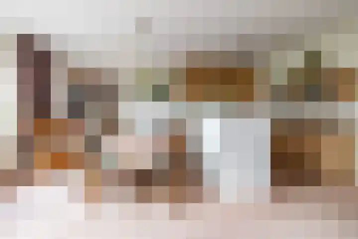 Koopmansplein 87 Ten Boer thumbnail 14
