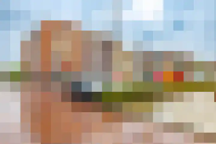 Koopmansplein 97 Ten Boer thumbnail 34