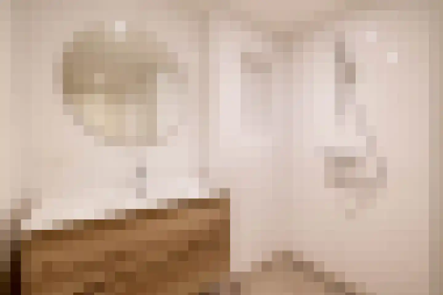 Koopmansstraat 1 F103 Rijswijk thumbnail 30