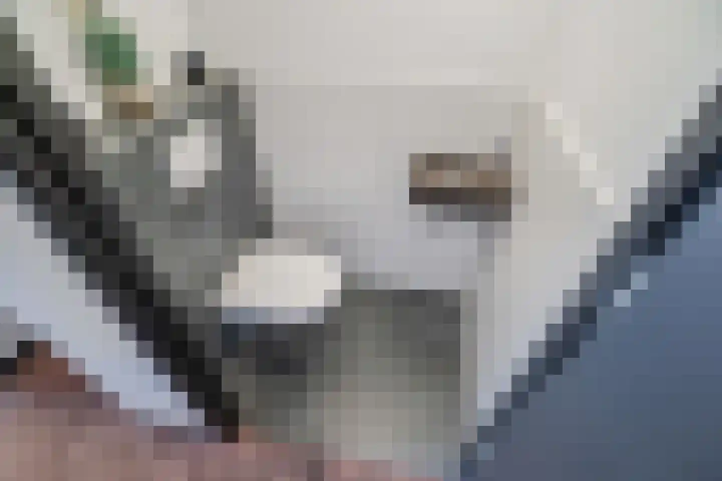 Koopmansstraat 1 F105 Rijswijk thumbnail 31