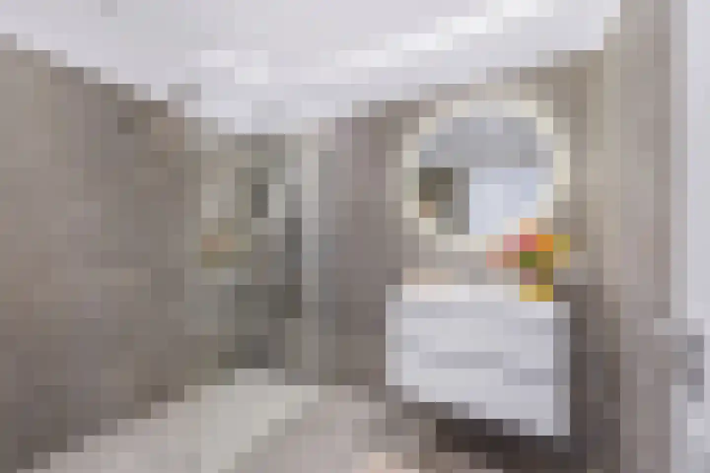Koopmansstraat 1 F108 Rijswijk thumbnail 35