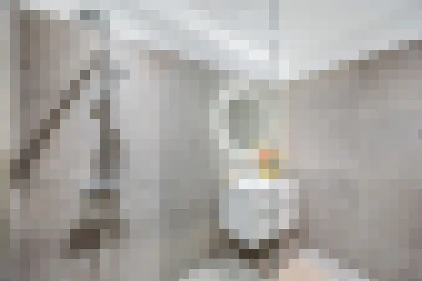 Koopmansstraat 1 F108 Rijswijk thumbnail 36