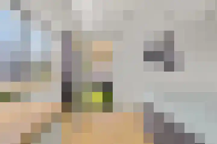 Koopmansstraat 1 F304 Rijswijk thumbnail 27