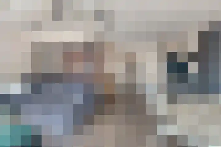 Koopmansstraat 1 F401 Rijswijk thumbnail 18