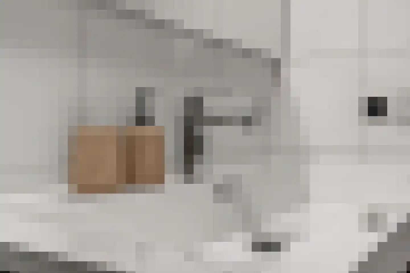 Koopmansstraat 1 F505 Rijswijk thumbnail 26