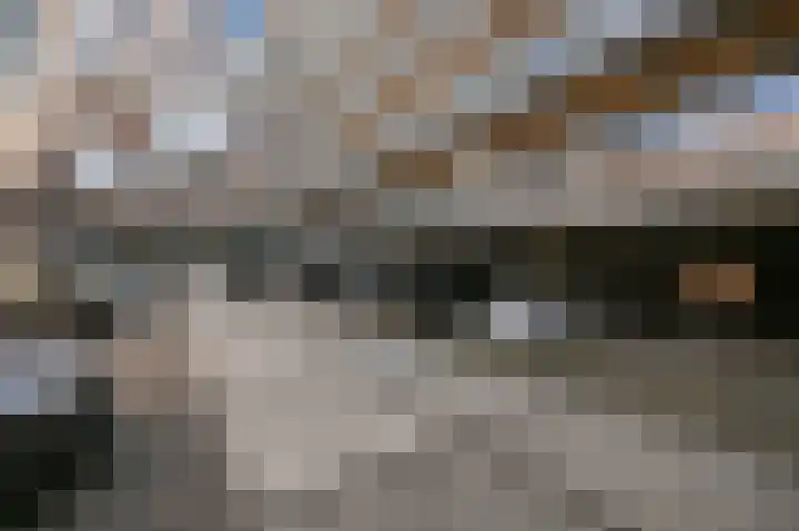 Koopmansstraat 1 F509 Rijswijk thumbnail 31