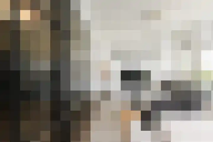 Koopmansstraat 1 F601 Rijswijk thumbnail 12