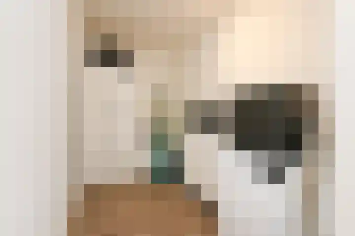 Koopmansstraat 1 F601 Rijswijk thumbnail 26