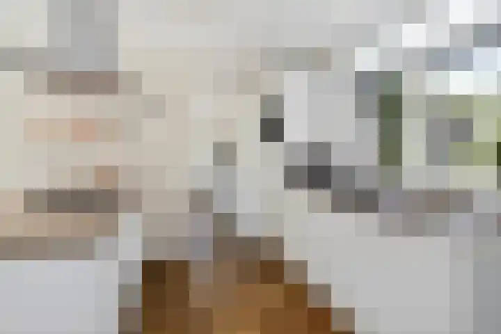 Koopmansstraat 5 Heeten thumbnail 14