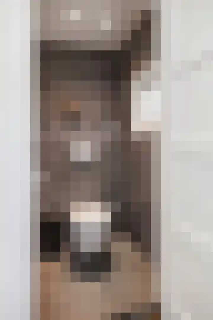 Koopmansstraat 5 Heeten thumbnail 17