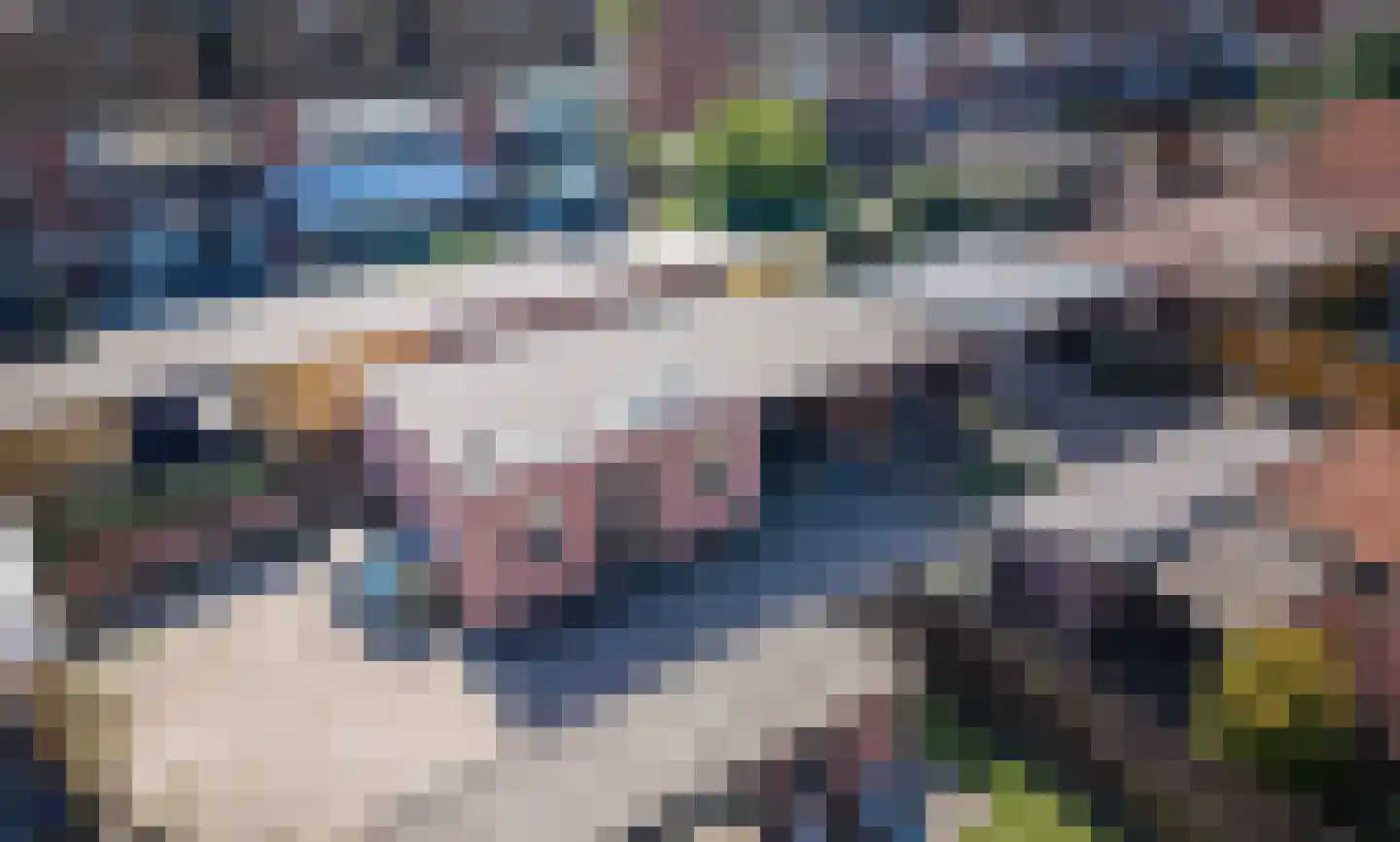 Koopmanstraat 104 Aalten thumbnail 36
