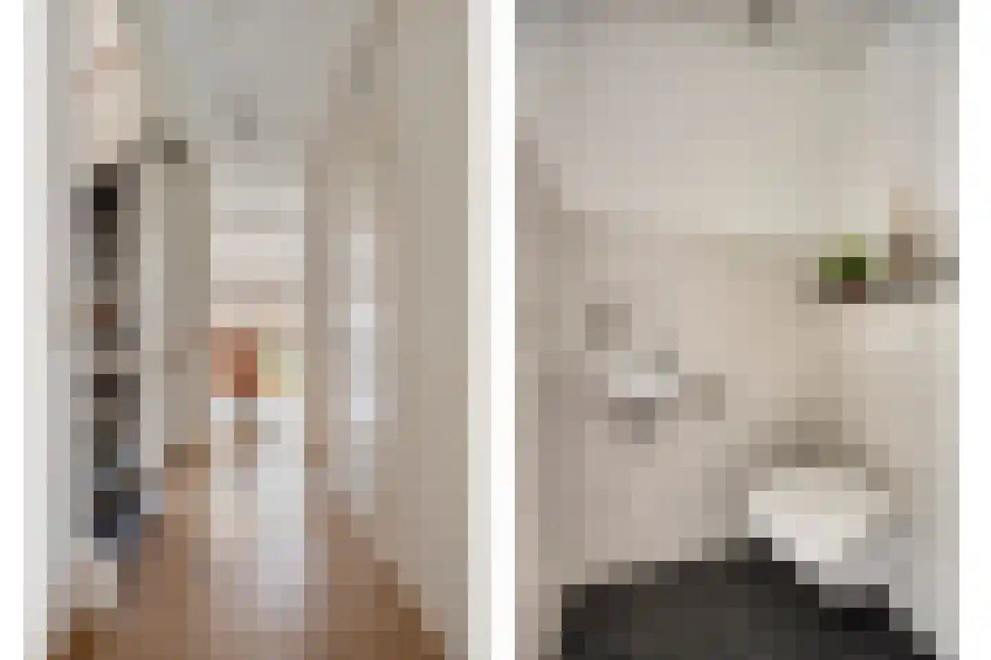 Koopmanstraat 14 Uden thumbnail 28