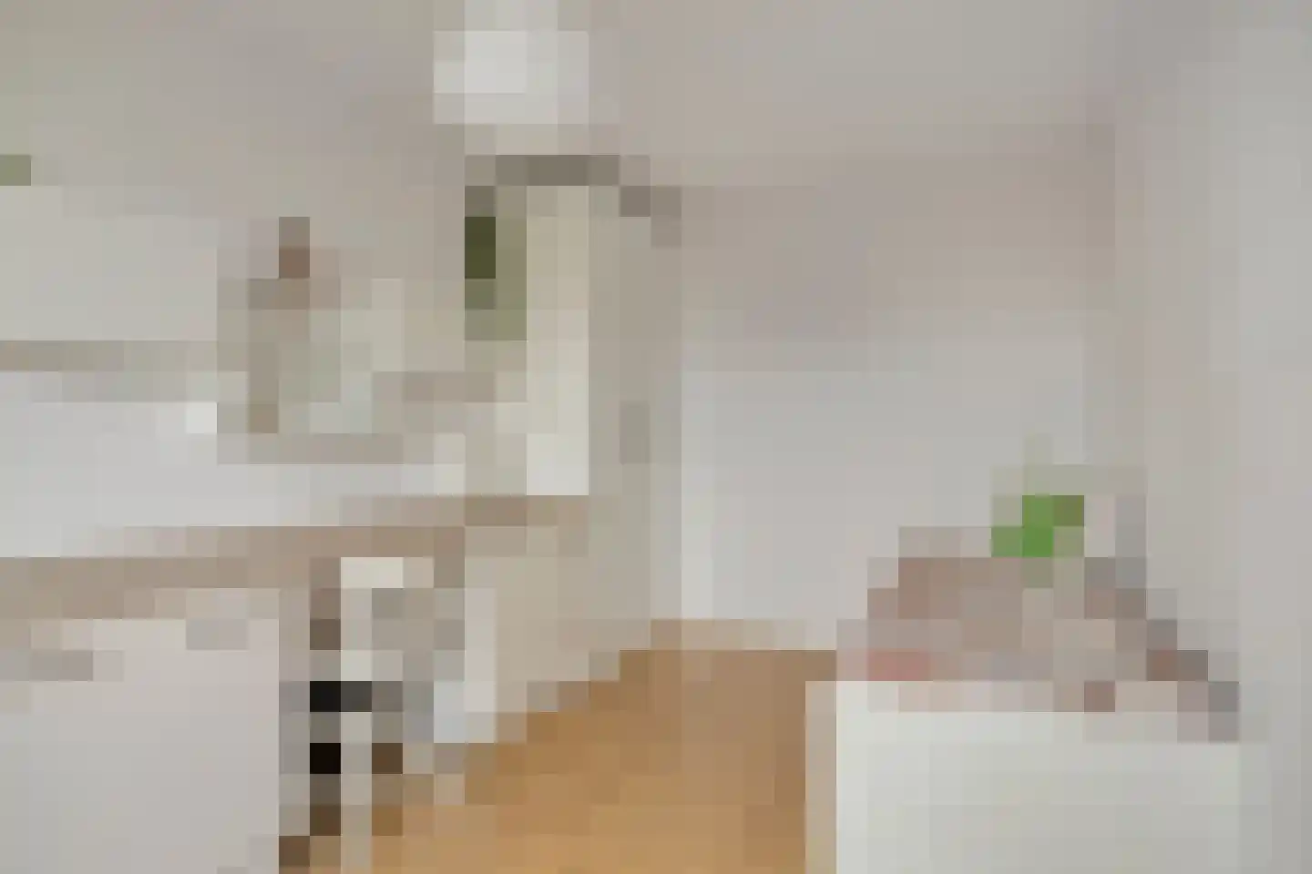 Koopmanstraat 14 Uden thumbnail 31