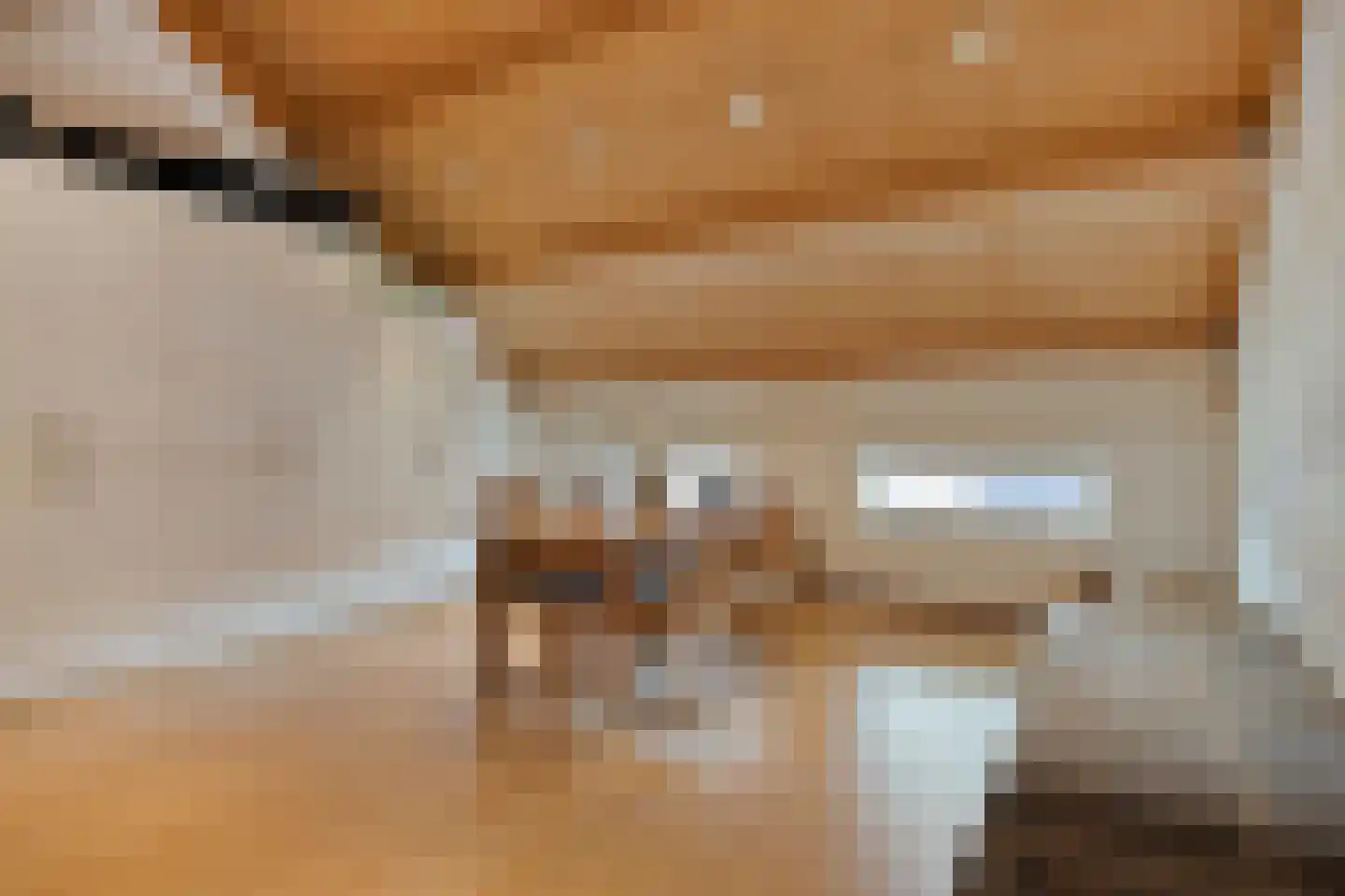 Koopmanstraat 14 Uden thumbnail 39