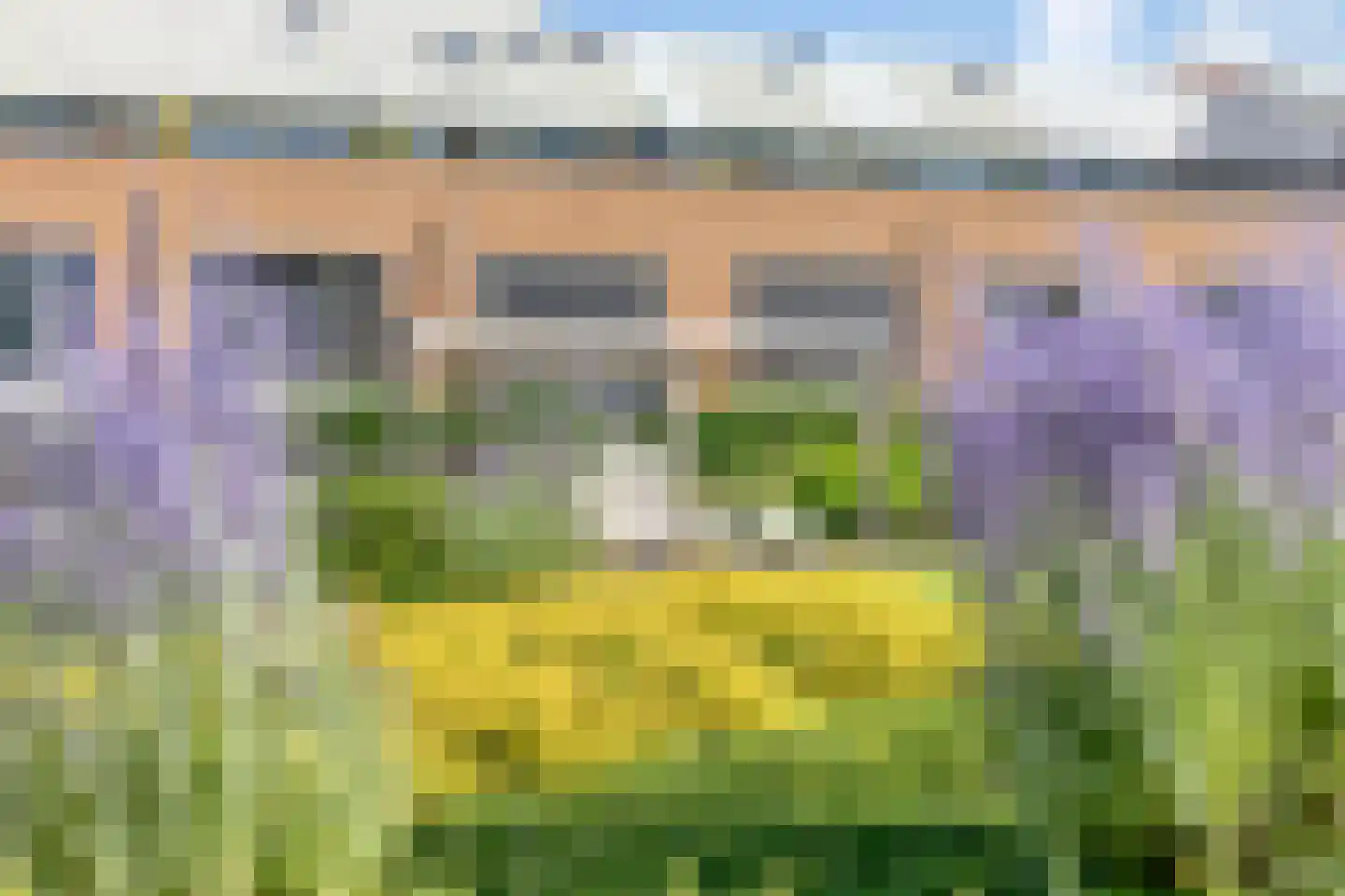 Koopmanstraat 14 Uden thumbnail 53