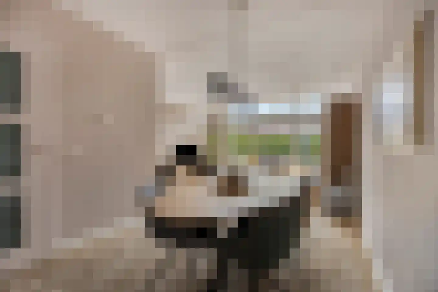 Koopmanstraat 14 Uden thumbnail 8