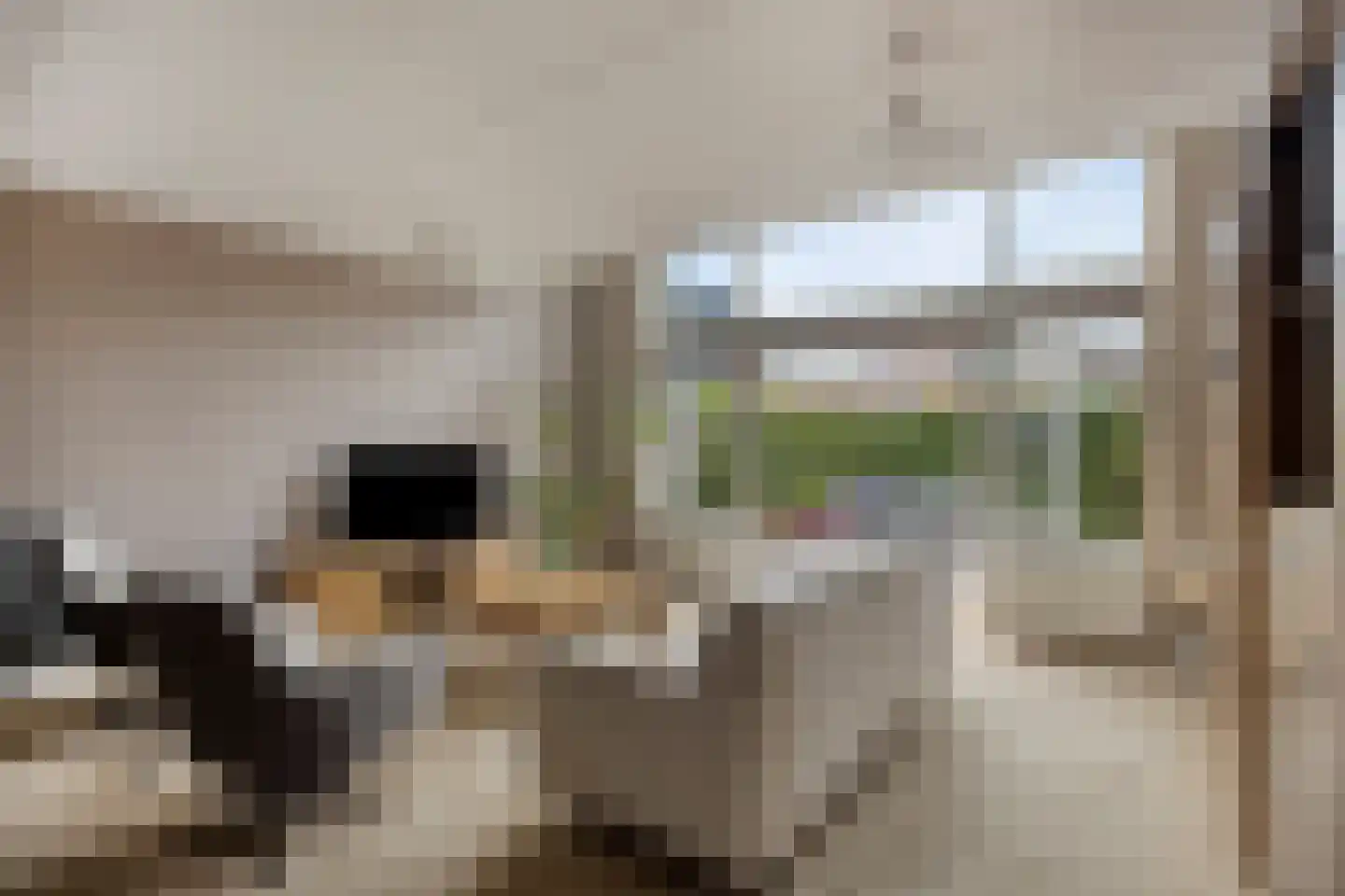 Koopmanstraat 14 Uden thumbnail 9