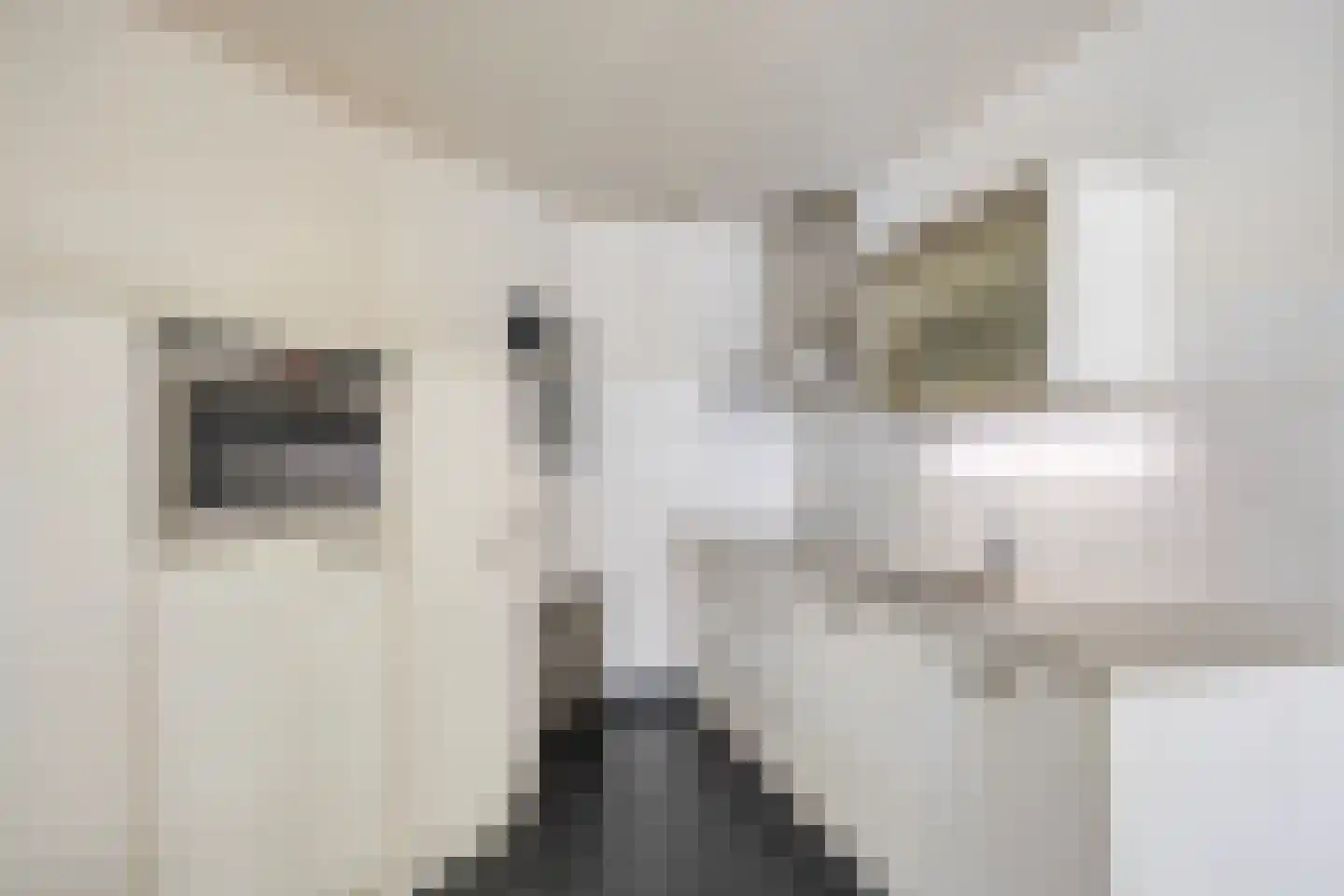 Koopmanstraat 30 Uden thumbnail 12