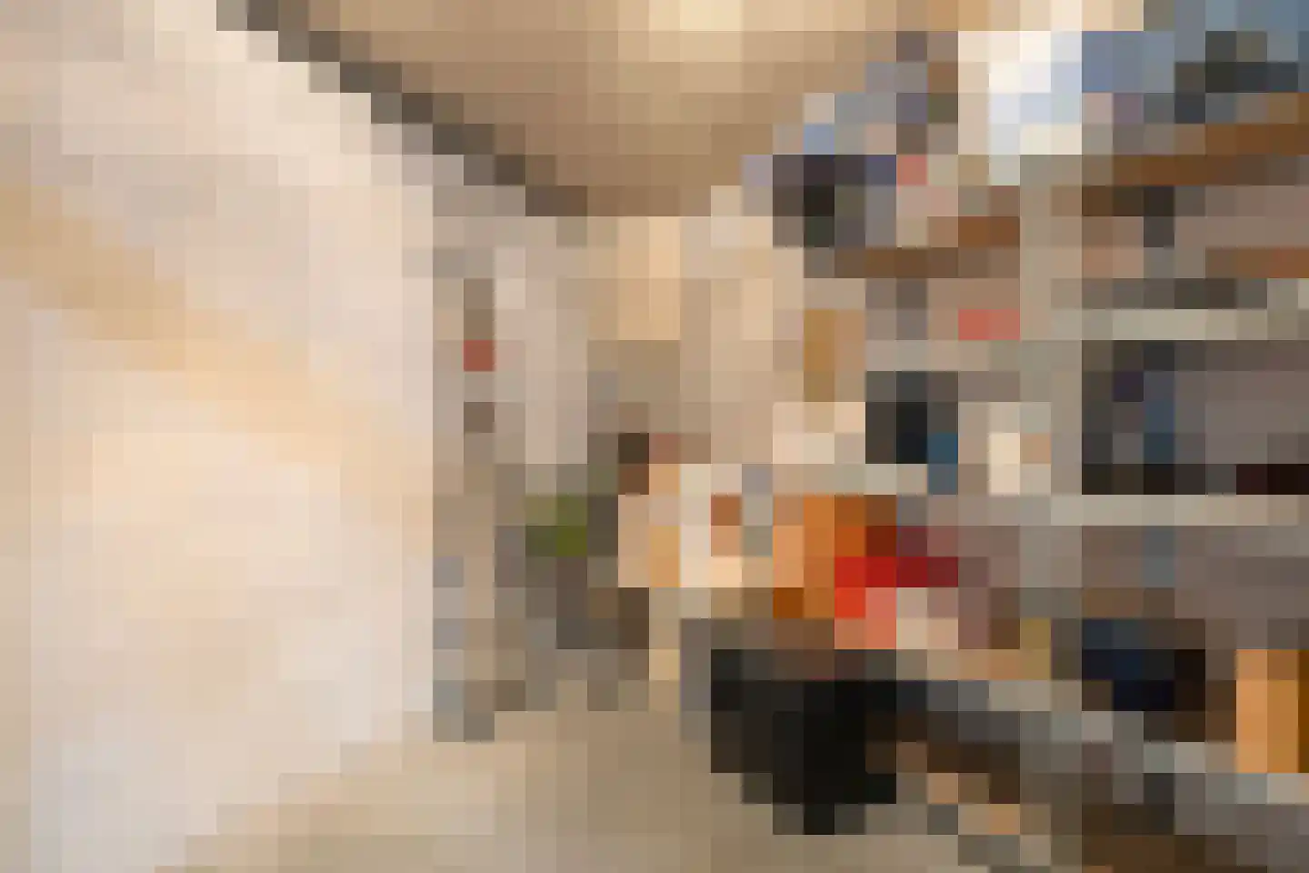 Koopmanstraat 30 Uden thumbnail 28