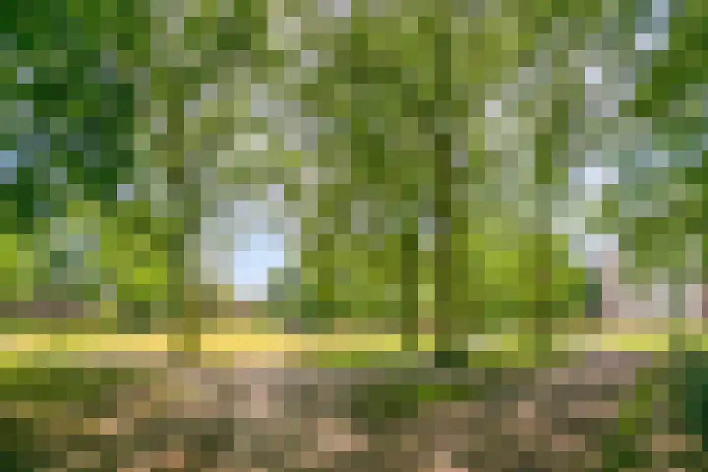 Koopmanstraat 30 Uden thumbnail 41